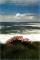 Atlantic View I
