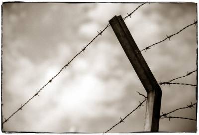 barbed wire xxx