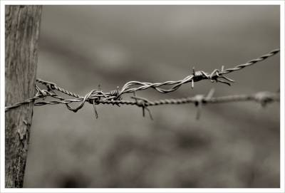 wire to wire